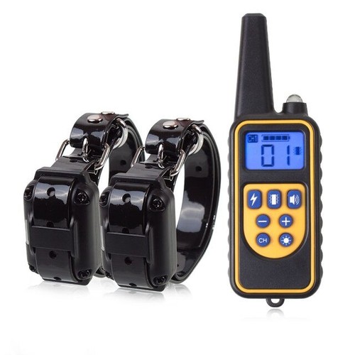 Collare telecomando 800m - collare,