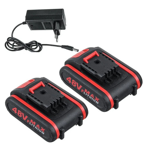 Batteria 48v max ricambio - 2x,