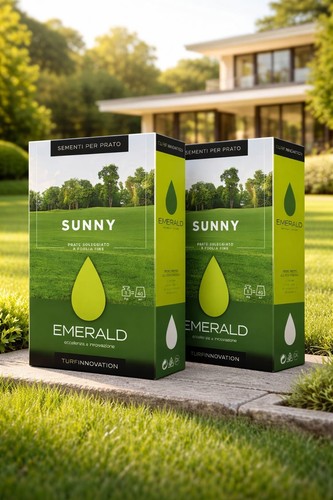 Sementi emerald sunny 2kg - sementi,